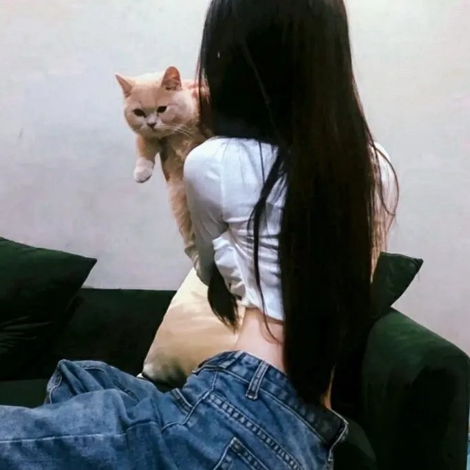 猪仔出更粤语